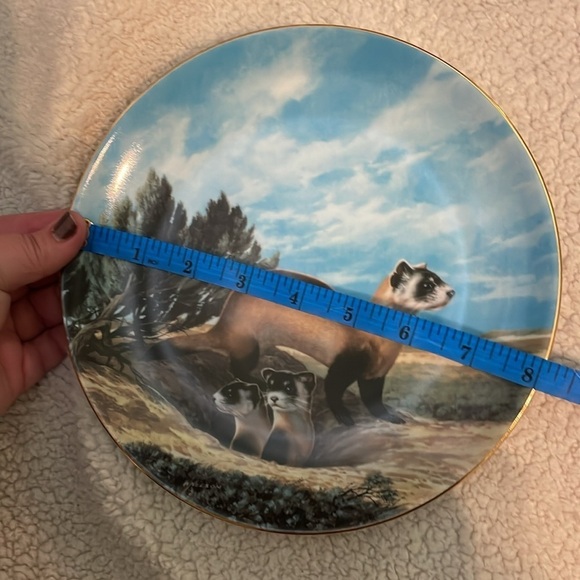The Black Footed Ferret Will Nelson Vintage Last of Their Kind Endangered Plate - Picture 14 of 15
